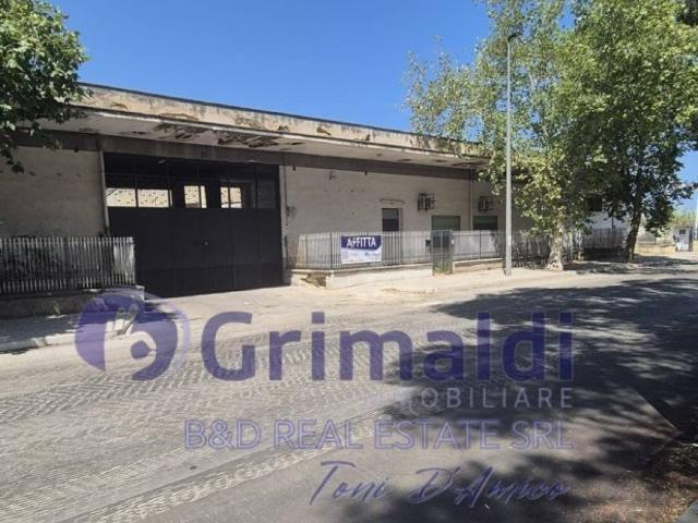 Immobile in affitto a Bagheria PA