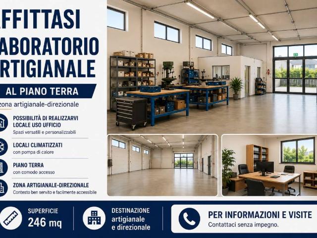 Immobile in affitto a Bassano del Grappa VI