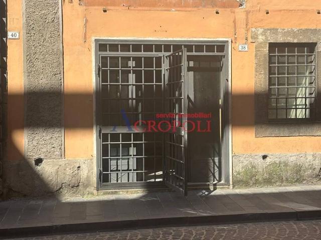 Immobile in affitto a Bracciano RM