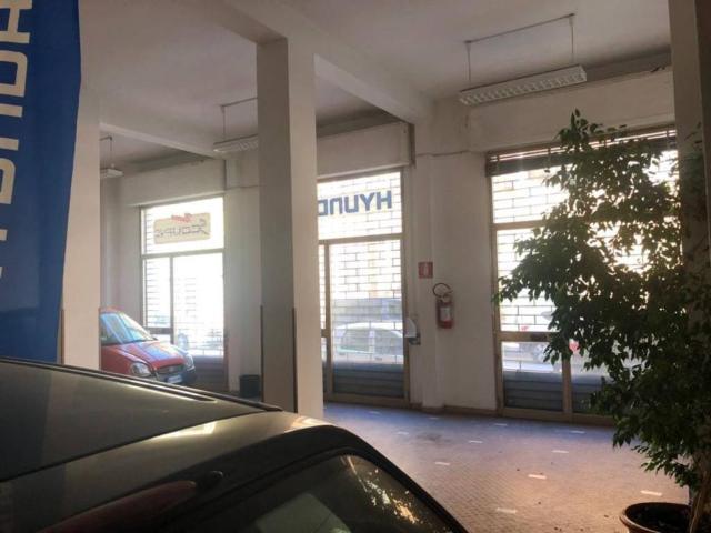 Immobile in affitto a Grosseto GR