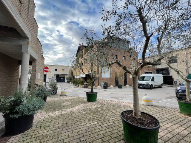Immobile in affitto a Grosseto GR