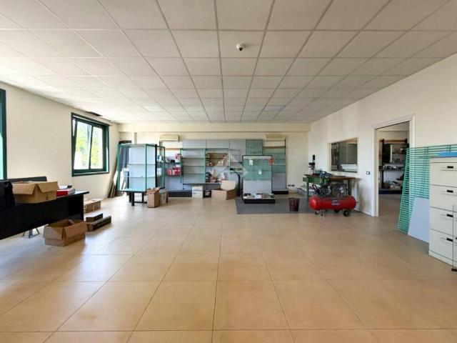Immobile in affitto a Desenzano del Garda BS