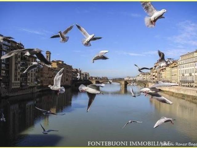 Immobile in affitto a Firenze FI