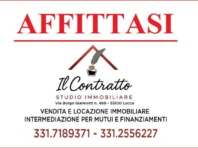 Immobile in affitto a Lucca LU