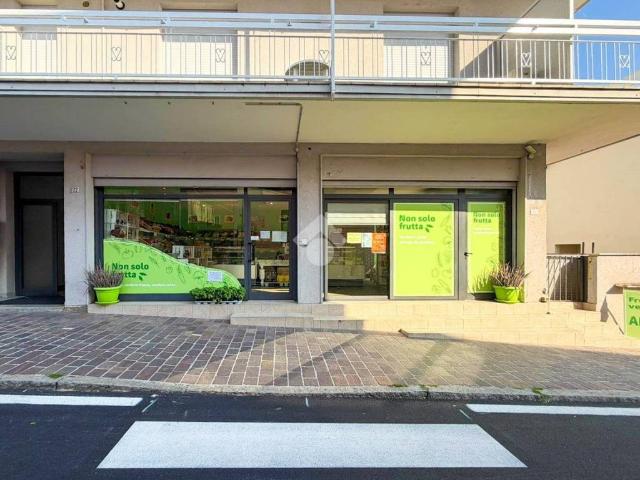 Immobile in affitto a Moniga del Garda BS