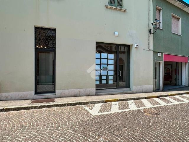 Immobile in affitto a Manerbio BS
