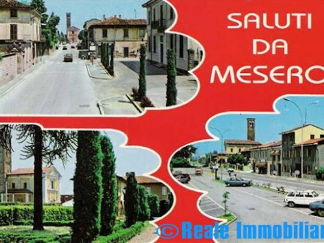 Immobile in affitto a Mesero MI