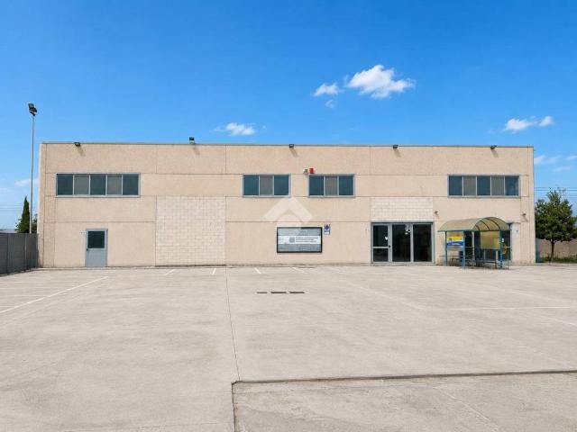 Immobile in affitto a San Severo FG