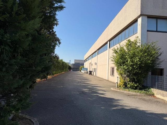 Immobile in affitto a Piacenza PC