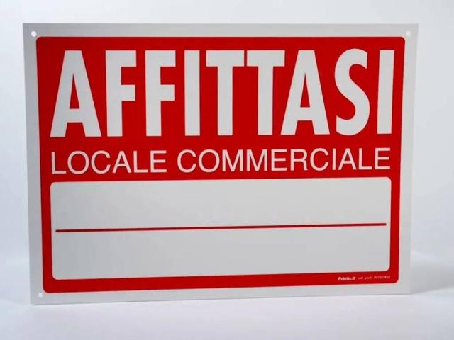 Immobile in affitto a Pisa PI