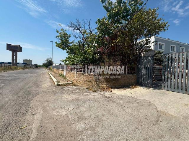Immobile in affitto a Tarquinia VT
