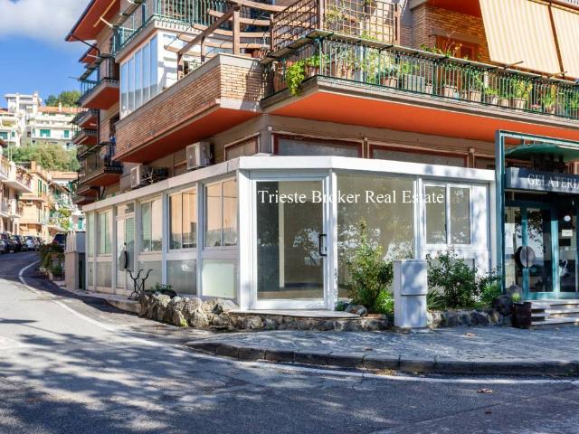 Immobile in affitto a Trevignano Romano RM