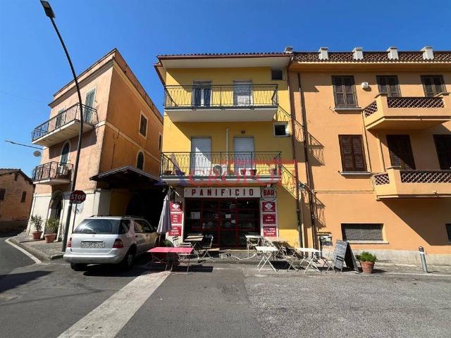 Immobile in affitto a Trevignano Romano RM