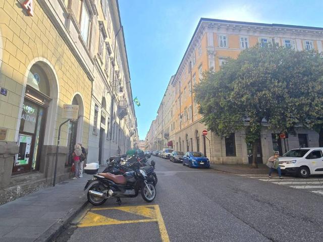 Immobile in affitto a Trieste TS