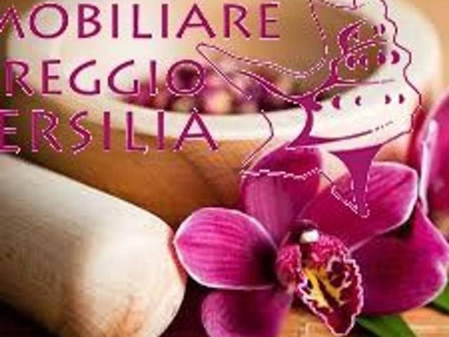 Immobile in affitto a Viareggio LU