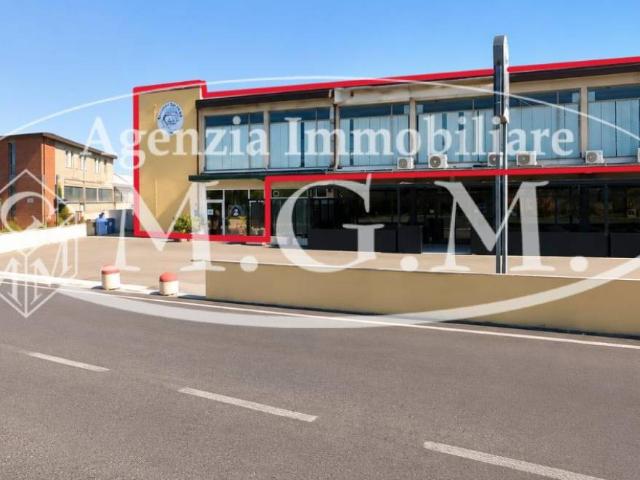 Immobile in affitto a Vicopisano PI