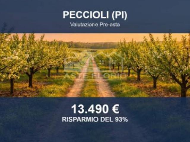 Immobile in asta di 140165 m in vendita a Peccioli