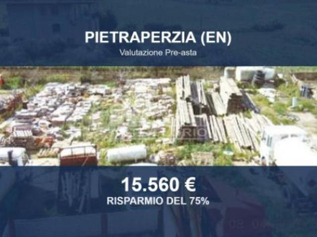 Immobile in asta di 140 m con più di 5 locali in vendita a Pietraperzia