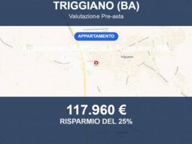 Immobile in asta di 141 m con più di 5 locali in vendita a Triggiano