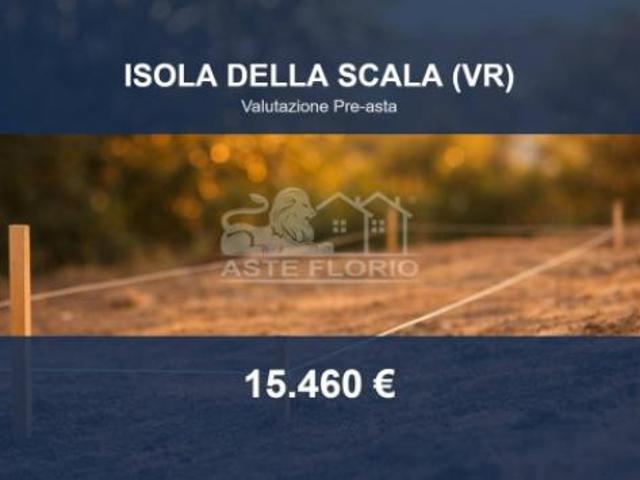 Immobile in asta di 14236 m in vendita a Isola della Scala