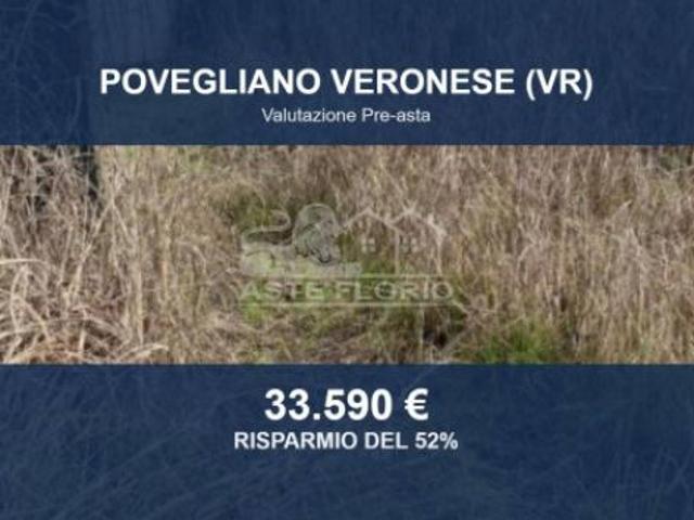 Immobile in asta di 14697 m in vendita a Povegliano Veronese