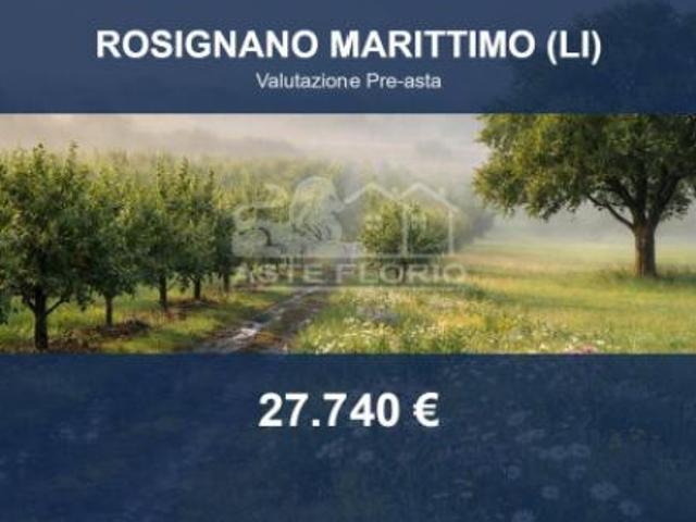 Immobile in asta di 149185 m in vendita a Rosignano Marittimo