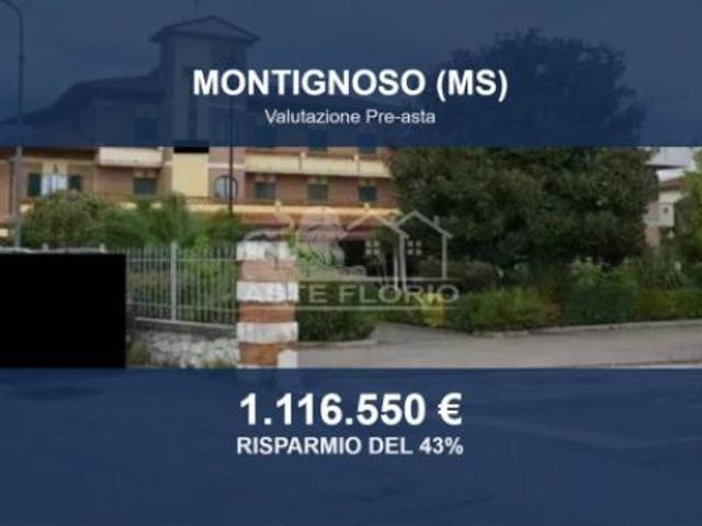 Immobile in asta di 1494 m in vendita a Montignoso