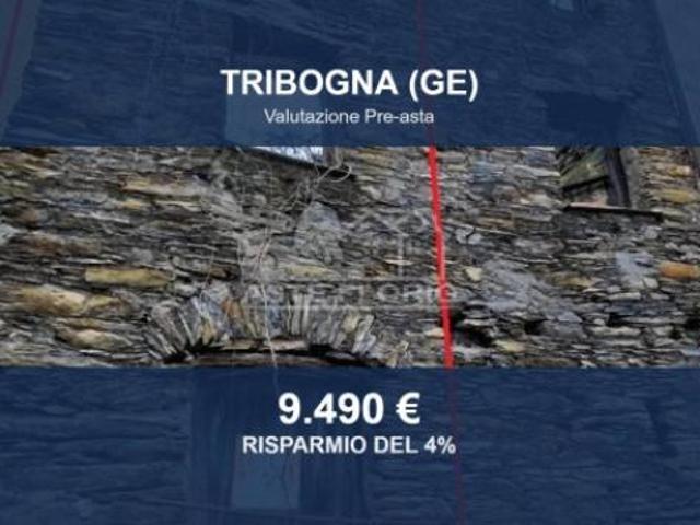 Immobile in asta di 149 m in vendita a Tribogna