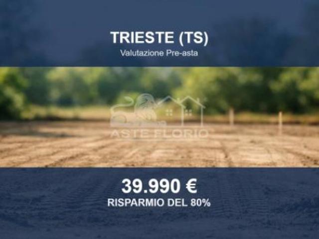 Immobile in asta di 15500 m in vendita a Trieste