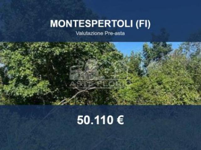 Immobile in asta di 157149 m in vendita a Montespertoli