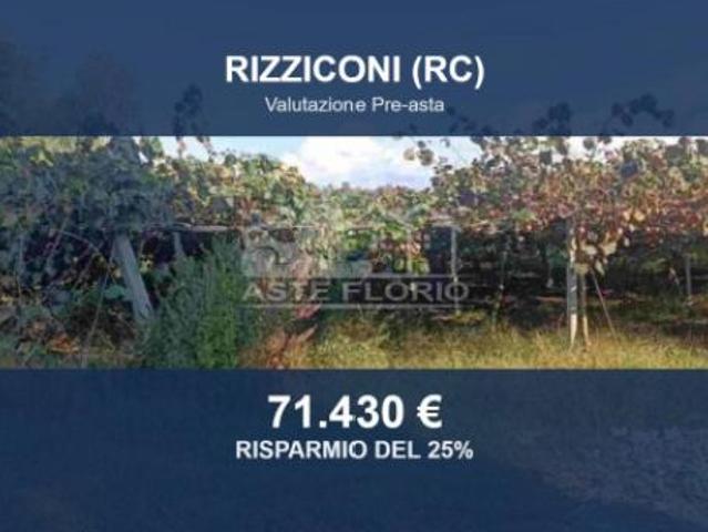 Immobile in asta di 15875 m in vendita a Rizziconi