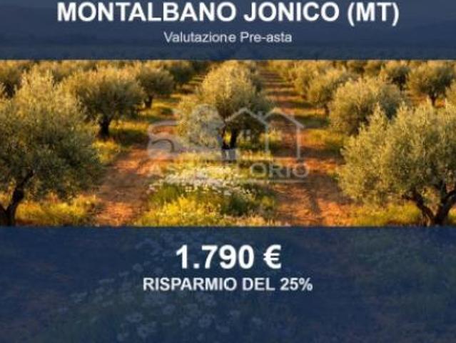 Immobile in asta di 1587 m in vendita a Montalbano Jonico