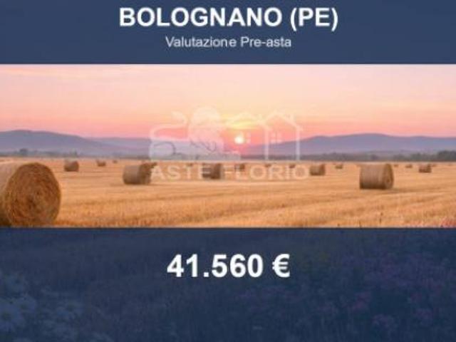 Immobile in asta di 160063 m in vendita a Bolognano