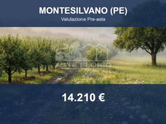 Immobile in asta di 1600 m in vendita a Montesilvano