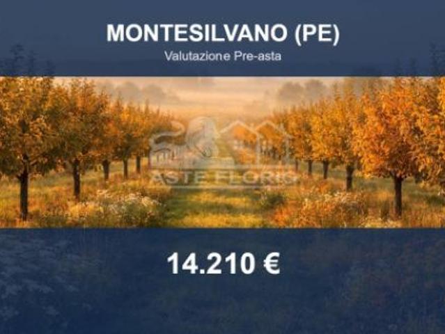 Immobile in asta di 1600 m in vendita a Montesilvano