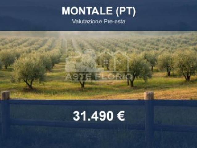 Immobile in asta di 164449 m in vendita a Montale