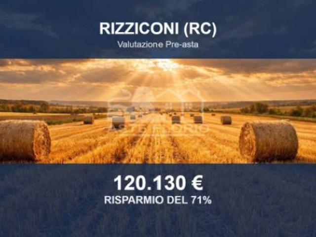 Immobile in asta di 16686 m in vendita a Rizziconi