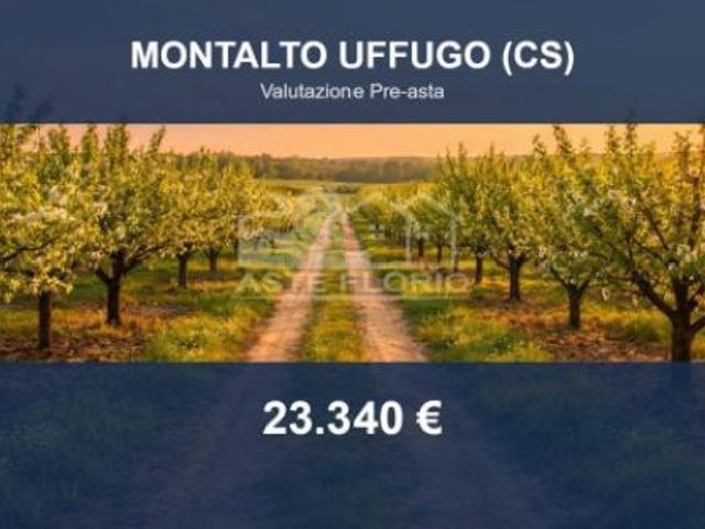 Immobile in asta di 16835 m in vendita a Montalto Uffugo