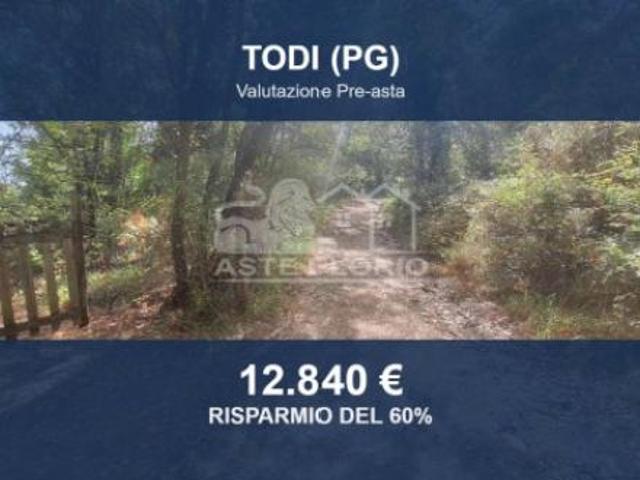 Immobile in asta di 16930 m in vendita a Todi