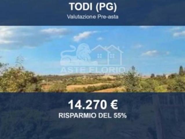 Immobile in asta di 16930 m in vendita a Todi