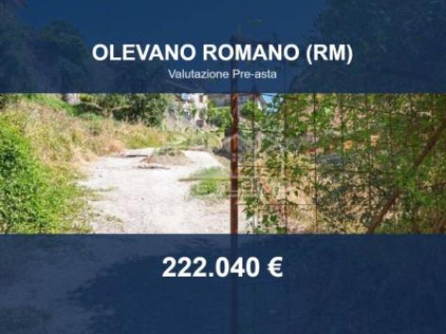 Immobile in asta di 17072 m in vendita a Olevano Romano
