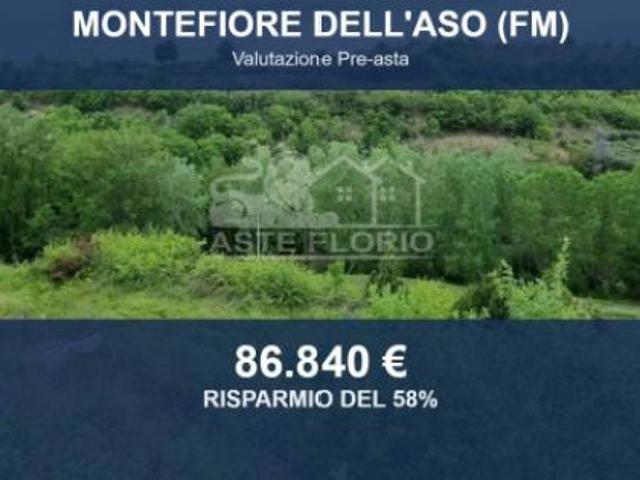 Immobile in asta di 17155 m in vendita a Montefiore dell'Aso