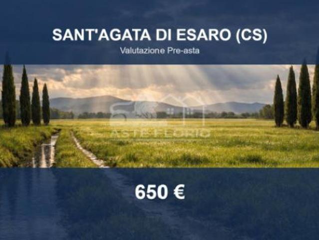 Immobile in asta di 1715 m in vendita a Sant'Agata di Esaro