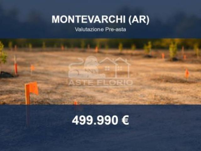 Immobile in asta di 17346 m in vendita a Montevarchi