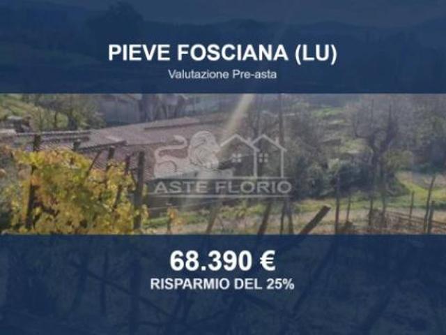 Immobile in asta di 174275 m in vendita a Pieve Fosciana