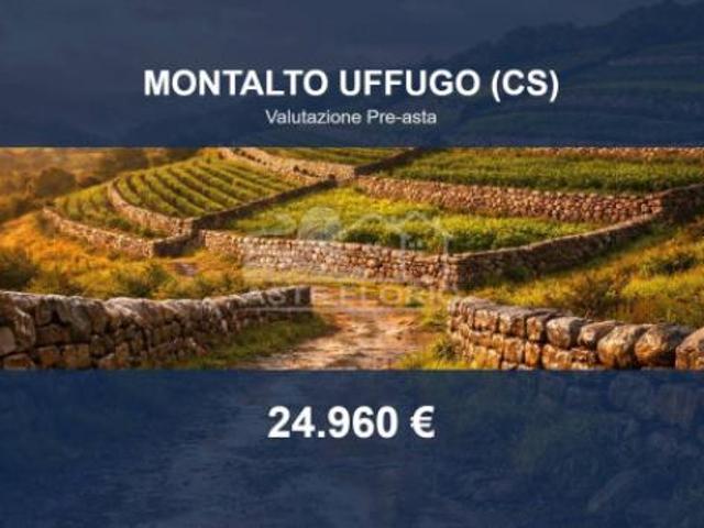 Immobile in asta di 1750 m in vendita a Montalto Uffugo