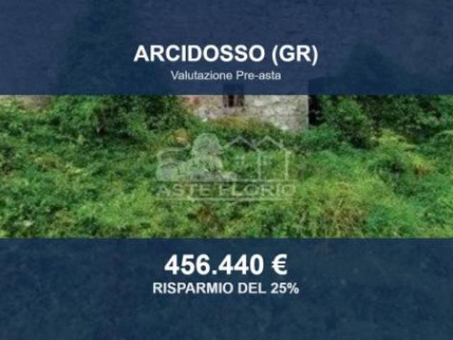 Immobile in asta di 176 m in vendita a Arcidosso