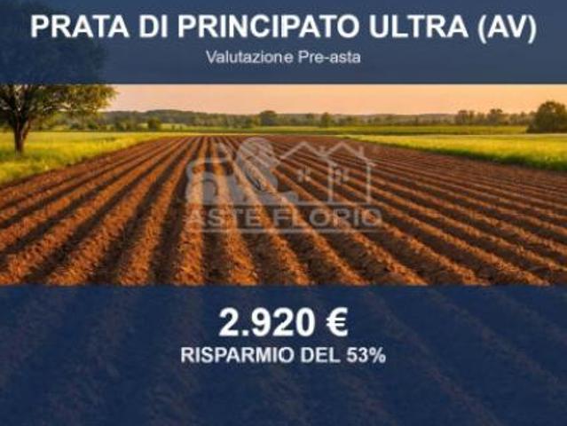 Immobile in asta di 1772 m in vendita a Prata di Principato Ultra