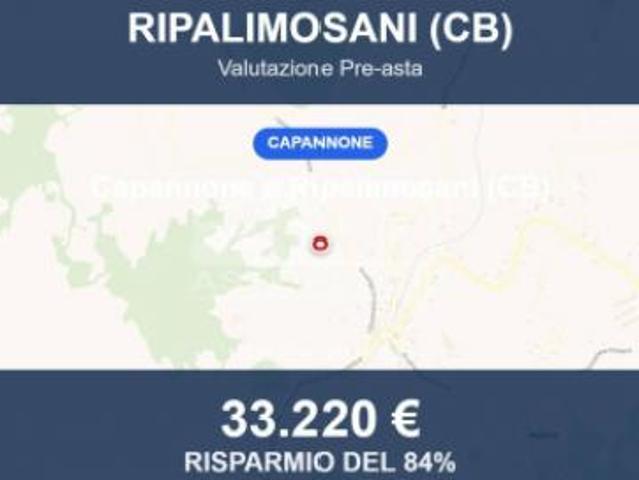 Immobile in asta di 17835 m in vendita a Ripalimosani