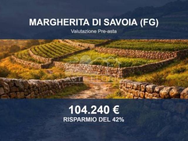 Immobile in asta di 18127 m in vendita a Margherita di Savoia